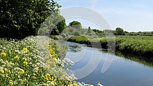 The River Tame In Springtime, Sandwell Valley photo