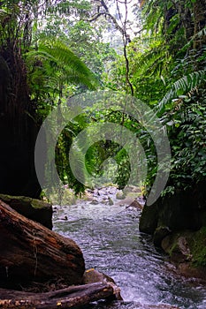 River in Tansania, Afrika