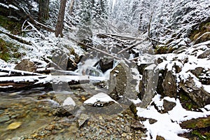 River in Tatra mountains during the winter