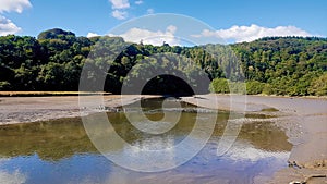 River Tavy ,Lopwell, Devon ,Uk photo