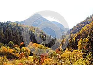The river Tedzami in autumn