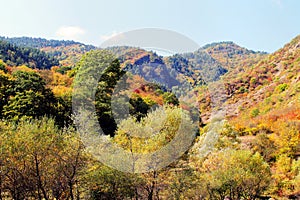 The river Tedzami in autumn