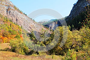 The river Tedzami in autumn