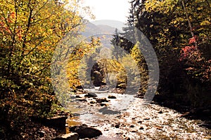 The river Tedzami in autumn