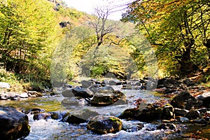 The river Tedzami in autumn