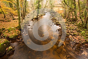 River Teign