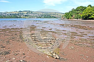 River Teign, Devon at low tide