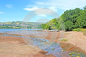River Teign, Devon at low tide