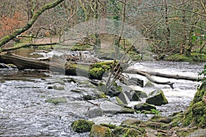 River Teign at Fingle Bridge, Devon