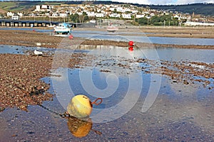 River Teign at low tide