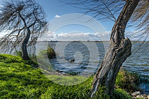 River tejo on a windy day with many clouds, in Bico Goiva, salvaterra de magos Portugal photo