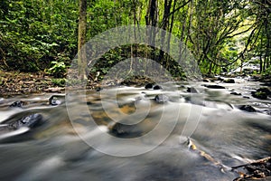 River in a Thailand rainforest