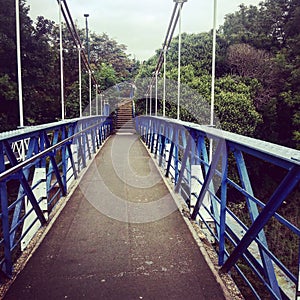 Blue bridge on the river photo