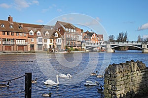 The River Thames at Windsor