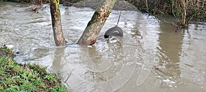 River Tiffey, Wymondham, Norfolk, England, UK after Heavy Rain & Storm Henk