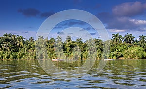 River Toa near Baracoa Cuba