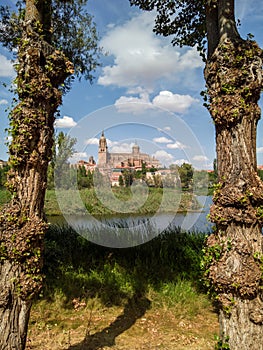 River Tormes Salamanca Cathedral View, Spain