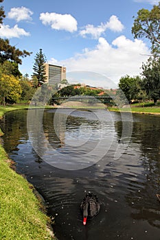 River Torrens