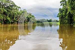River in Tortuguero National Park, Costa Ri