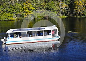 River Tour Boat and Manatees