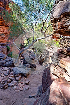 River trail to Murchison River in Kalbarri National Park, Western Australia