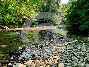 River of tranquillity photo