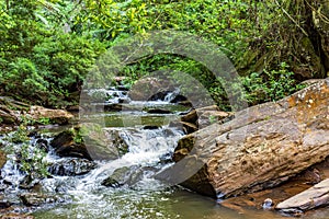 River with tree trunks and stones amid forest