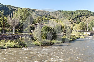 River with trees