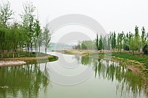 River with trees