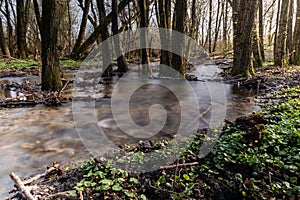 River and trees, long exposition and detailed focusing