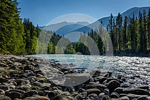 River, Trees and mountains on a sunny day