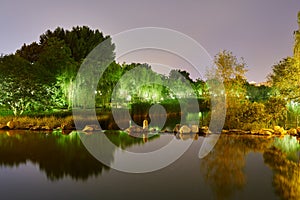 The river and trees in night