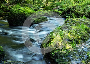 River Trieb in a nature park in Vogtland