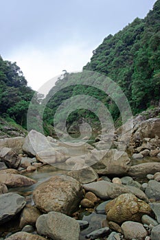River on the tropical forests