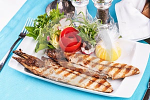 River trout steak, white meat fish, served with vegetables, lemon and arugula and tomato salad