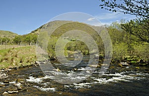 River Tywi and Rhuddallt