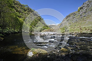 River Tywi RSPB Dinas