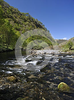 River Tywi RSPB Dinas