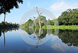 River in Uda Walawe national park