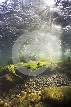 River underwater rocks on a shallow riverbed