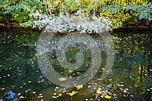 river in urban park in autumn day photo