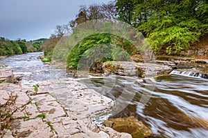 River Ure Flows over Aysgarth Lower Falls