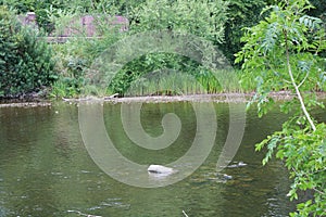 The river usk at the town of usk