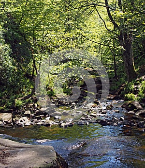 the river and valley at lumb hole falls in woodland at crimsworth dean near pecket well in calderdale west yorkshire