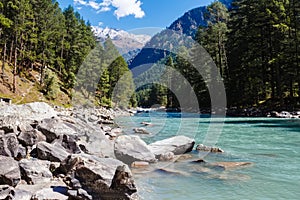 River valley in the mountains covered with forest