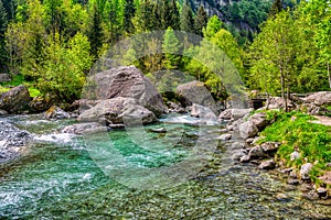 The river in the valley in spring season