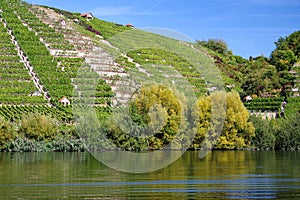River valley with steep vineyard under blue sky