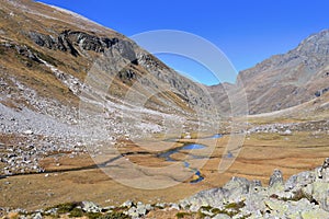 river  in Vanoise national Park in France crossing yellow grass in alpine meadow mountain