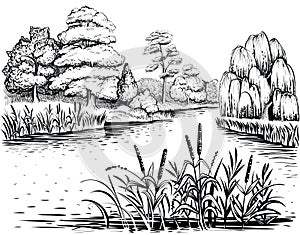 River vector landscape with trees and water plants, hand drawn illustration.