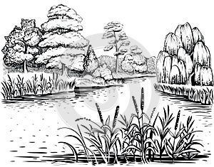 Rieka vektor stromy a voda rastliny ručně malované ilustrácie 